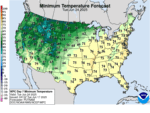 Day 7 Minimum Temperatures
